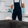 selective focus of rat running on grey sofa near exterminator standing with equipment