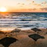 beach-umbrellas-at-sunrise-2023-11-27-05-08-54-utc (1)