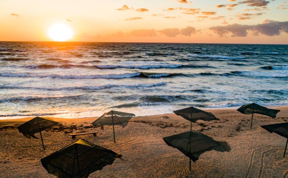 beach-umbrellas-at-sunrise-2023-11-27-05-08-54-utc (1)