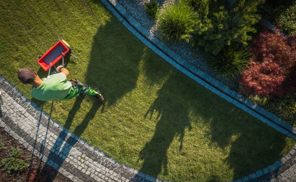 Garden worker is using a fertilizing distributor to feed the grass aerial view.